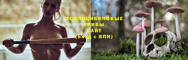 стаф Абдулино
