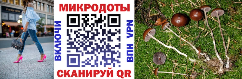 Псилоцибиновые грибы мицелий  сайты даркнета клад  Фрязино 